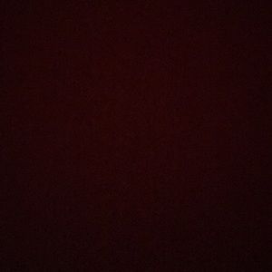 Meet your Posher, Shirley